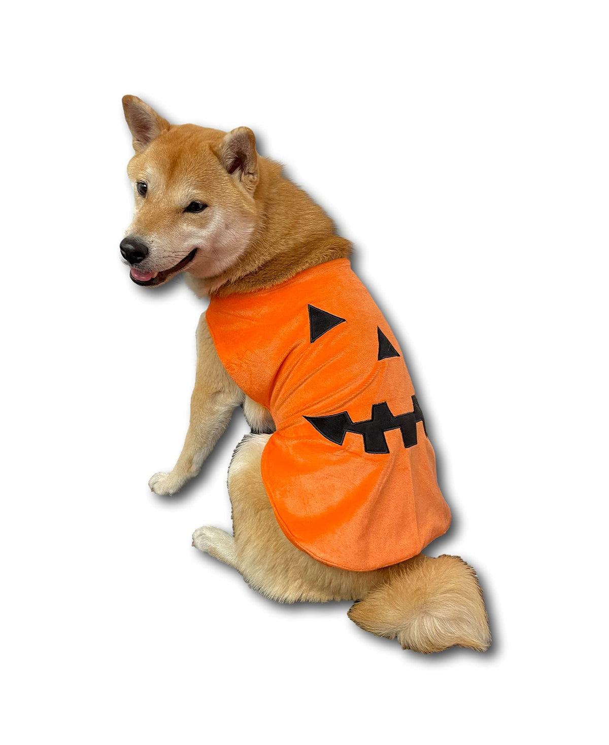 Pumpkin Dog Costume (view 2)
