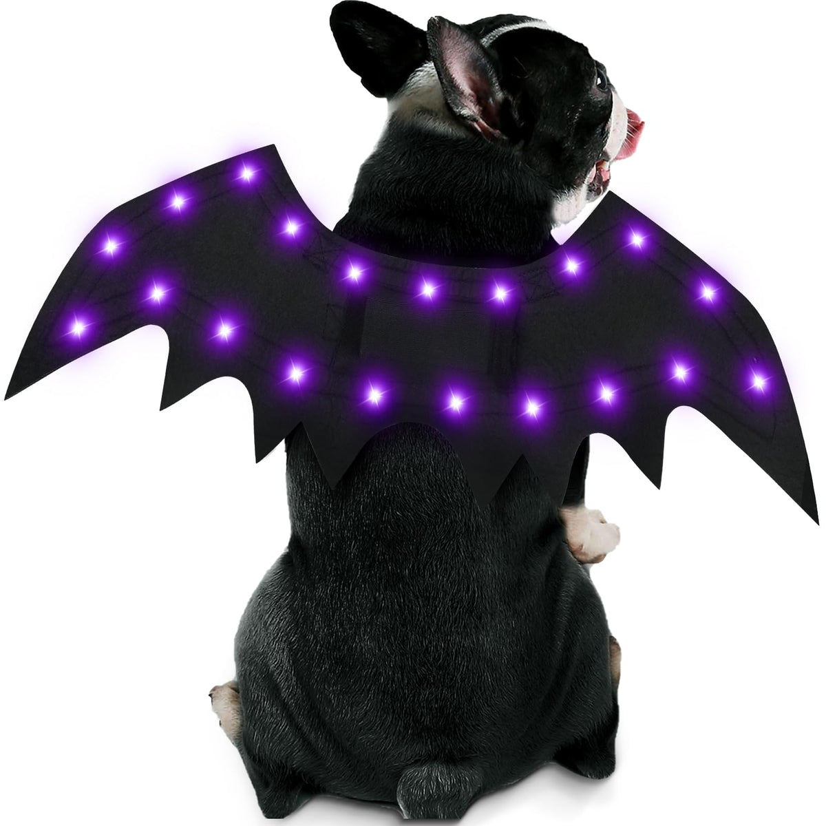 Light-Up Bat Wings for Dogs