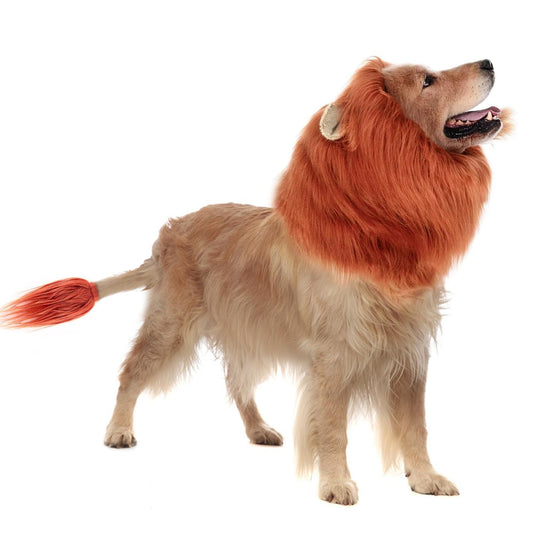 Lion Mane for Dogs